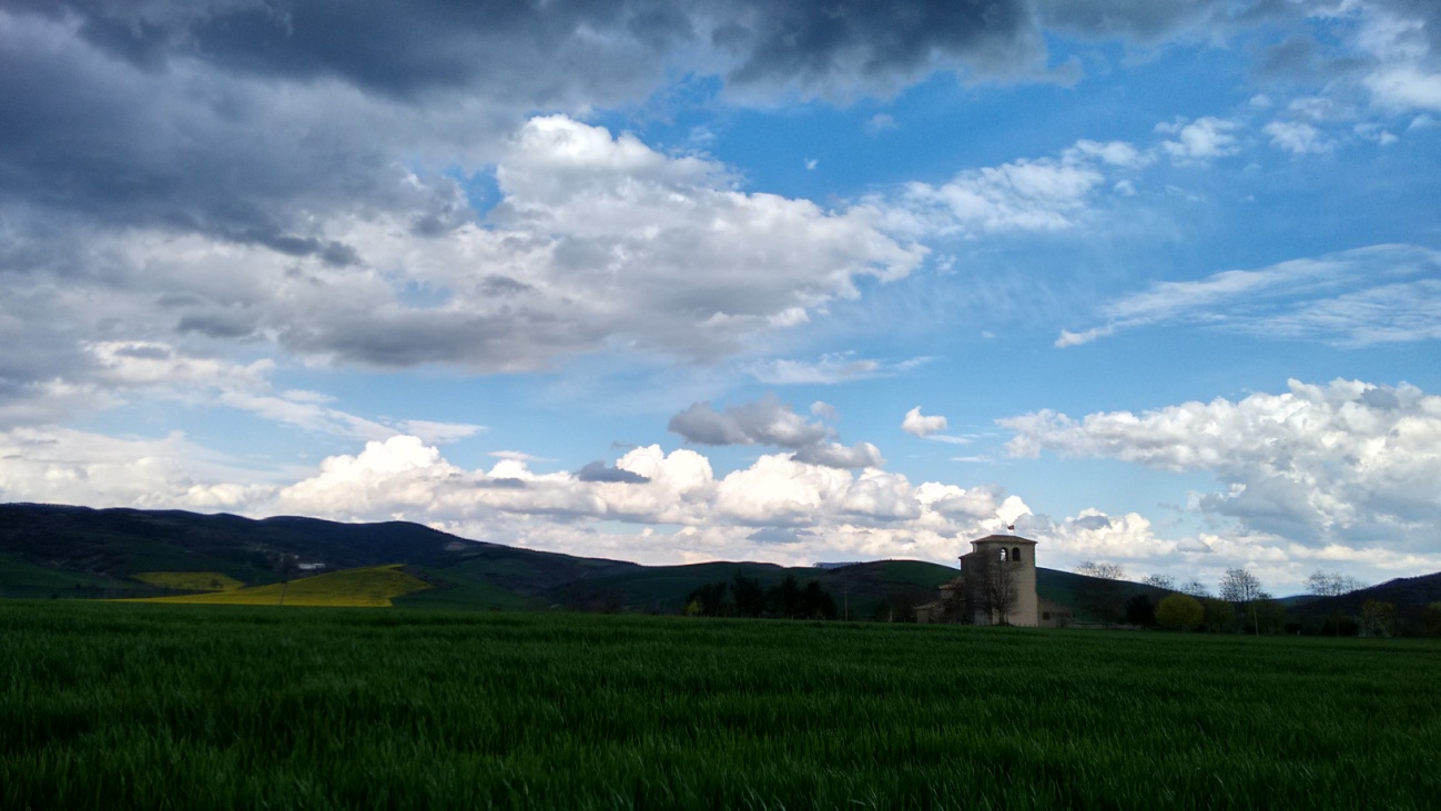 Lizoainibar-Arriasgoitiko argazki lehiaketa- Concurso de fotografía del Valle de Lizoain Arriasgoiti.