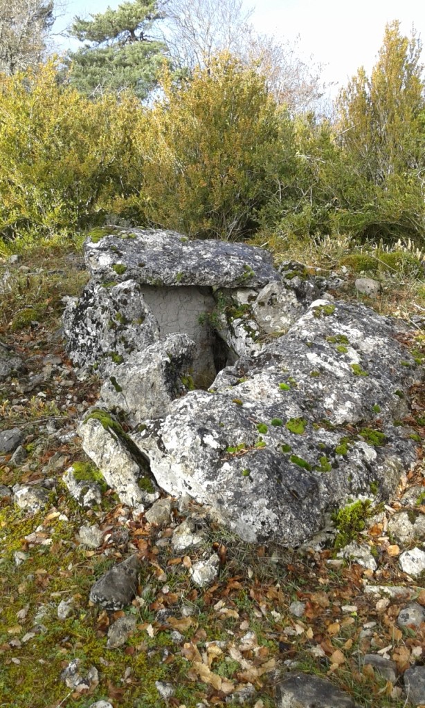 Sendero de los dólmenes de Oiartzabal en Lizoain-Arriasgoiti/Lizoainibar-Arriasgoitiko Oiartzabaleko trikuharrien ibilbidea Sendero de los dólmenes de Oiartzabal en Lizoain-Arriasgoiti/Lizoainibar-Arriasgoitiko Oiartzabaleko trikuharrien ibilbidea