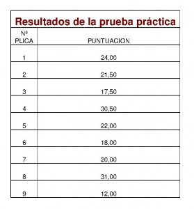 RESULTADOS PRUEBAS PRACTICA