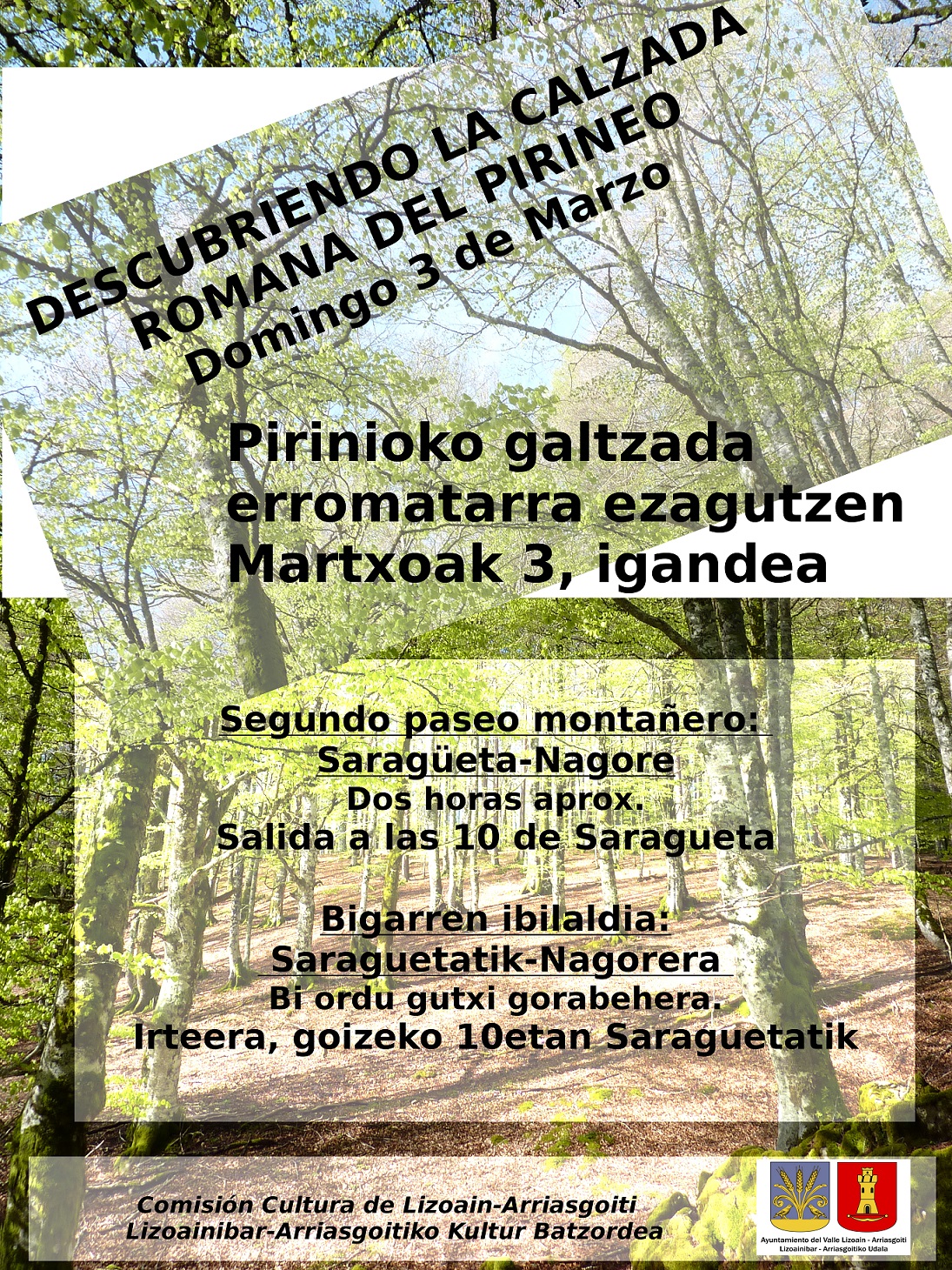 Descubriendo la calzada del Pirineo/Pirinioko galtzada ezagutzen Descubriendo la calzada del Pirineo/Pirinioko galtzada ezagutzen