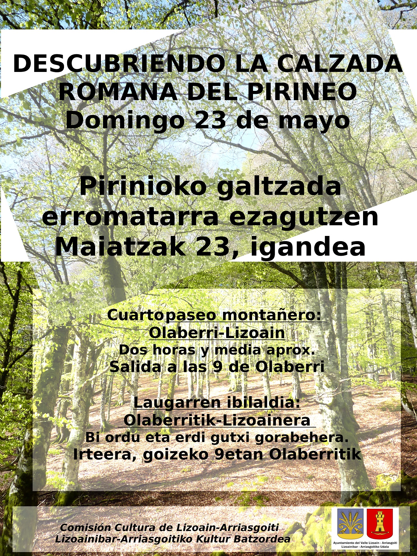 Descubriendo la Calzada Romana del Pirineo / Pirinioko Galtzada Erromatarra ezagutzen