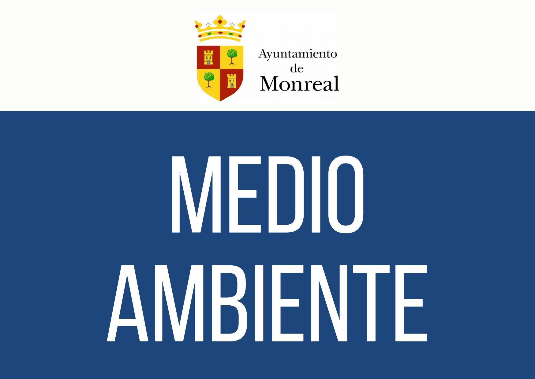 DÍA MUNDIAL DEL MEDIO AMBIENTE/INGURUMENAREN EGUNA DÍA MUNDIAL DEL MEDIO AMBIENTE/INGURUMENAREN EGUNA