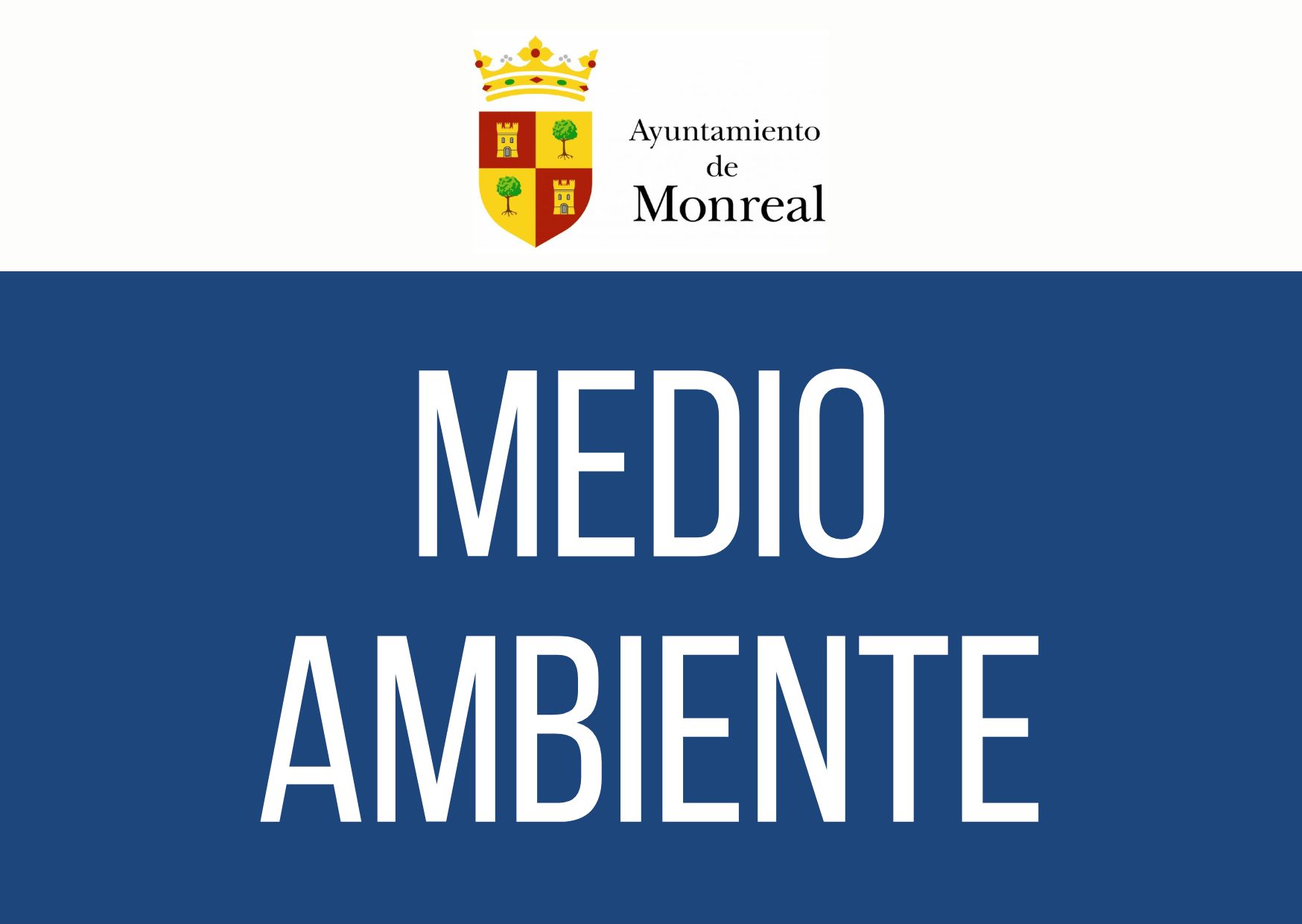 RECOMENDACIONES A LOS AYUNTAMIENTOS SOBRE LA PREVENCIÓN ANTE INCENDIOS FORESTALES.